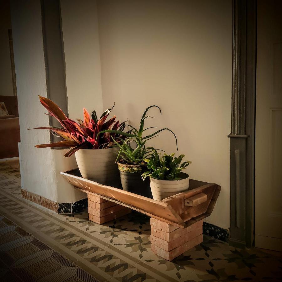 Santa Amalia Casa Rural Maribel المظهر الخارجي الصورة